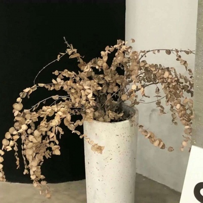 Furry文化趣味解读福瑞交流群